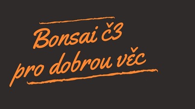 Č. BUDĚJOVICE: Benefiční koncert 2025