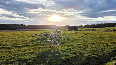 Foto: archiv Extrémní Křížové Cesty