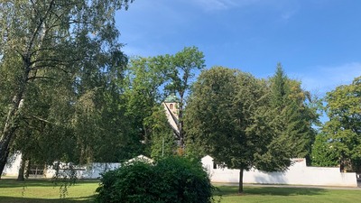 Foto: Petr Samec