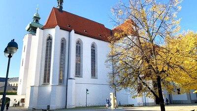 Foto: Petr Samec